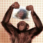 Маргарита Шол