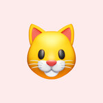 Ева докучаева