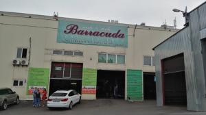 Фотография Barracuda 1