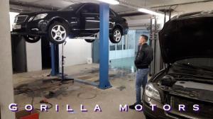 Фотография Gorilla Motors 1