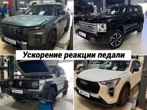 Фотография Евро Чип Тюнинг  1