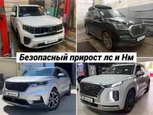 Фотография Евро Чип Тюнинг  3